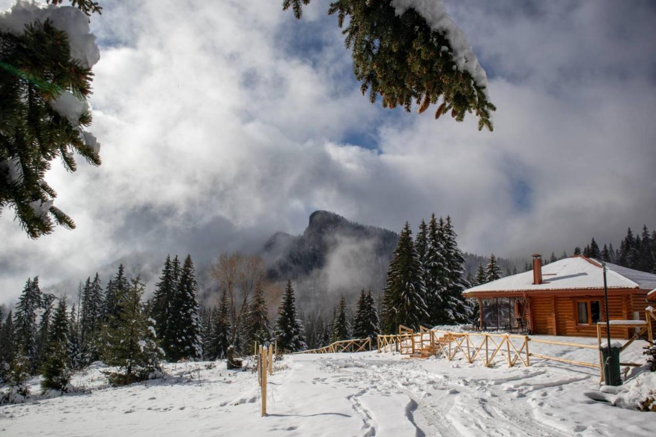 Вила Морава Pamporovo Extérieur photo