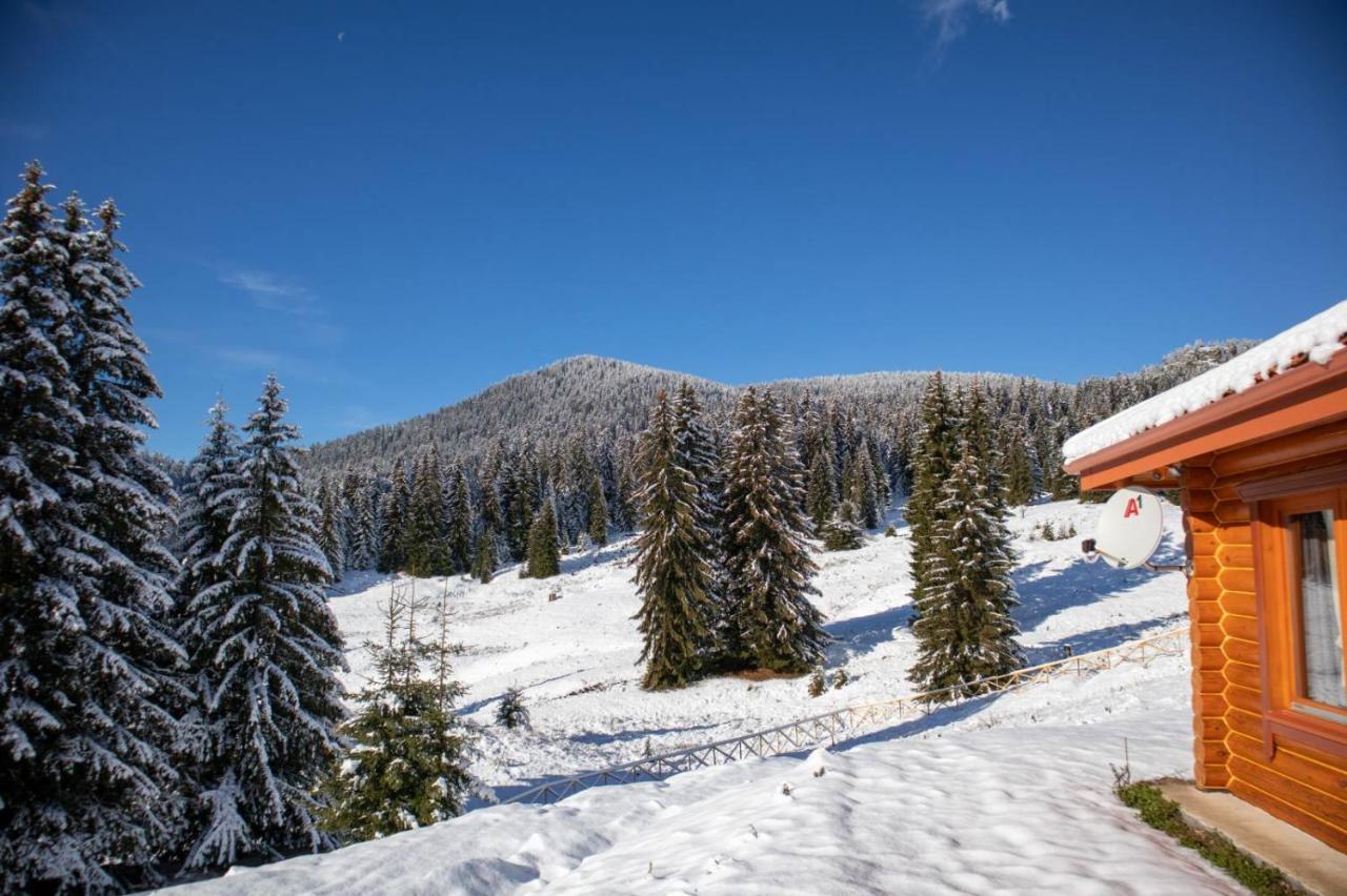 Вила Морава Pamporovo Extérieur photo