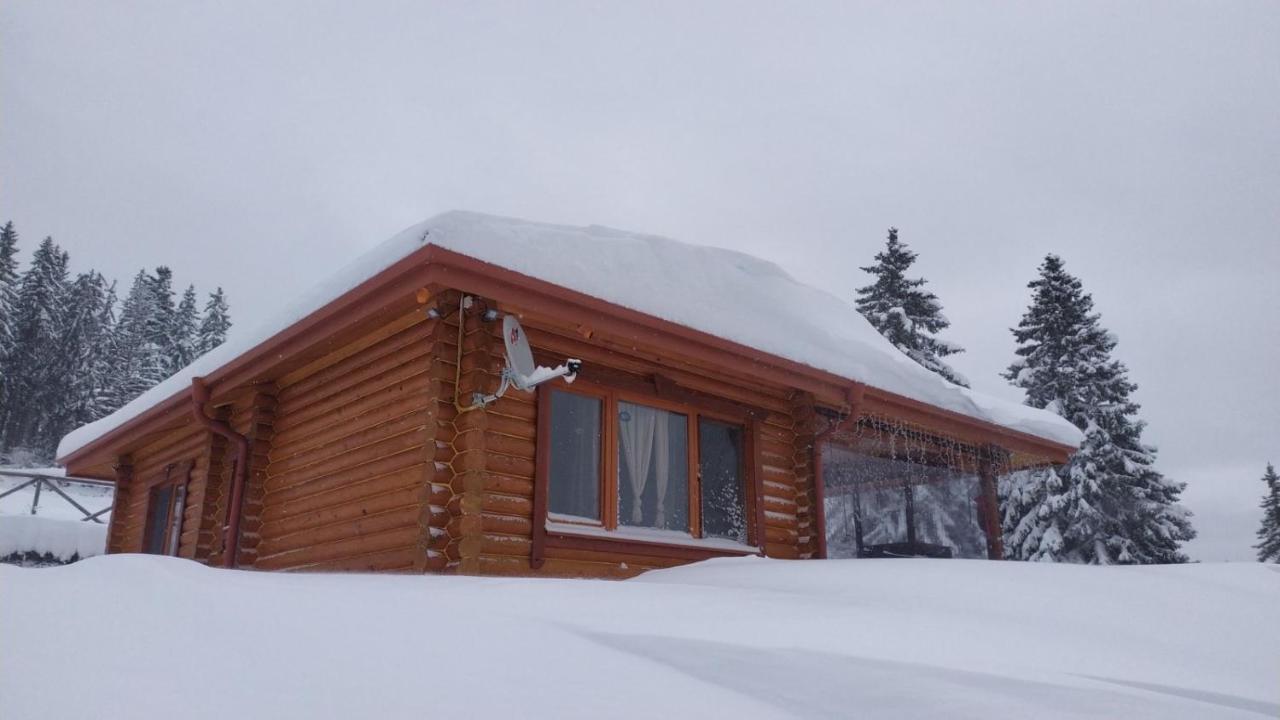 Вила Морава Pamporovo Extérieur photo
