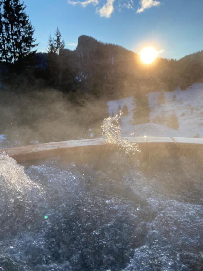 Вила Морава Pamporovo Extérieur photo